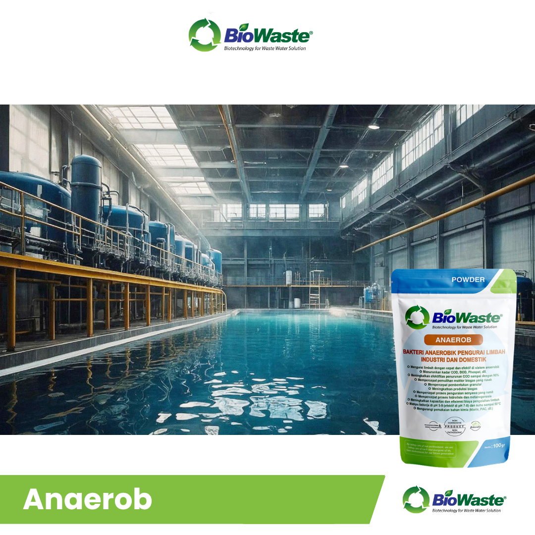 ANAEROB (5)