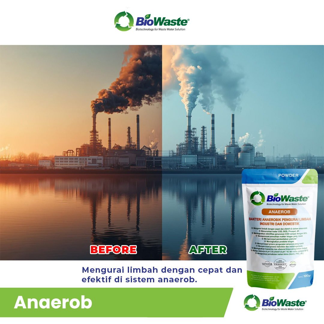 ANAEROB (6)